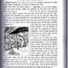 Narad Puran : ( Sankshipt  Hindi, Code -1183 ) By Maharishi Ved Vyas Ji  ( Gita Press ) / Hardcover - Image 2