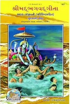 Sadhak Sanjivani / Sadhaksanjivani By Ram Sukhdas Ji  Code 467 ( Gita Press , Gorakhpur ) Hardcover , Gujarati
