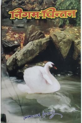 Nigam Chintan / निगम चिंतन By Sat Sahitya Prakashan